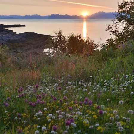 See Lofoten Mountains Midnight Sun And Nothern Lights In Steigen Exterior photo