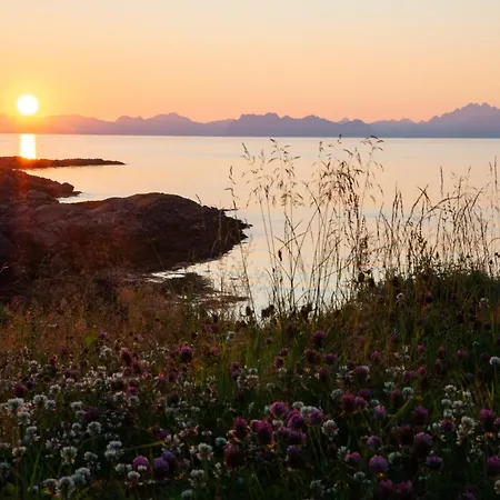 See Lofoten Mountains Midnight Sun And Nothern Lights In Steigen Exterior photo
