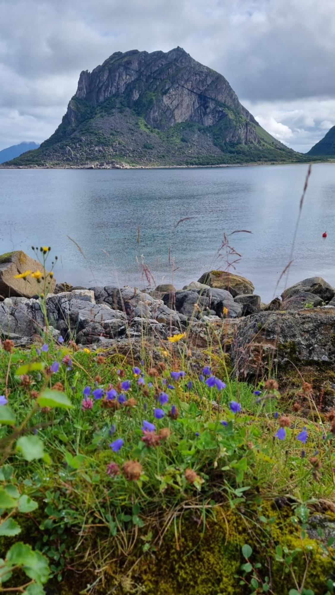 Lofoten Mountains Midnight Sun And Nothern Lights In Steigen