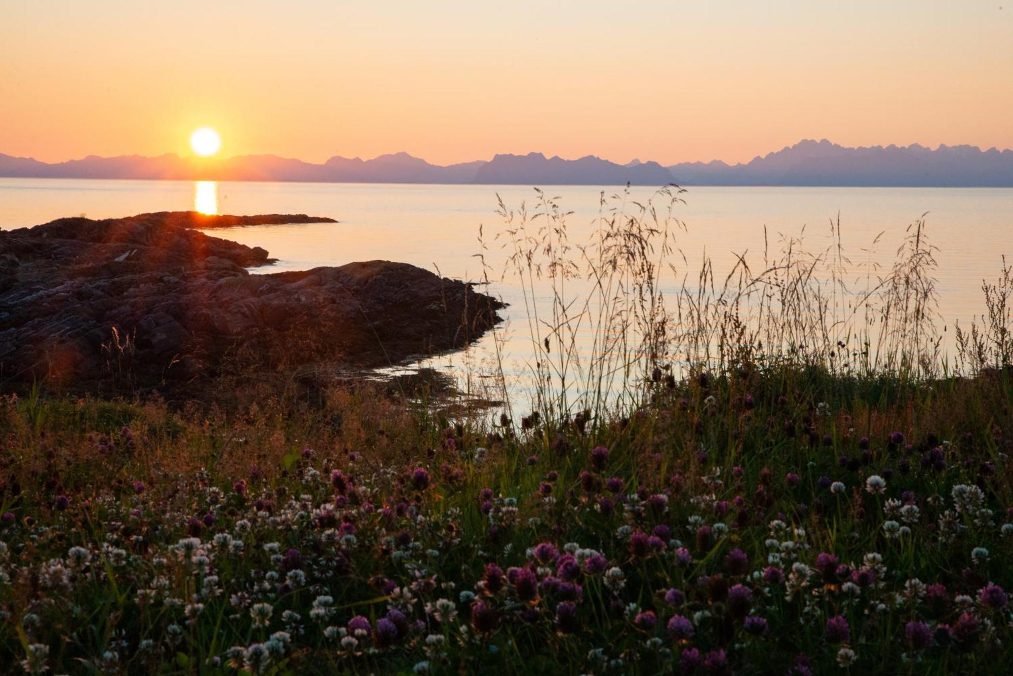 Holiday home Lofoten Mountains Midnight Sun And Nothern Lights In